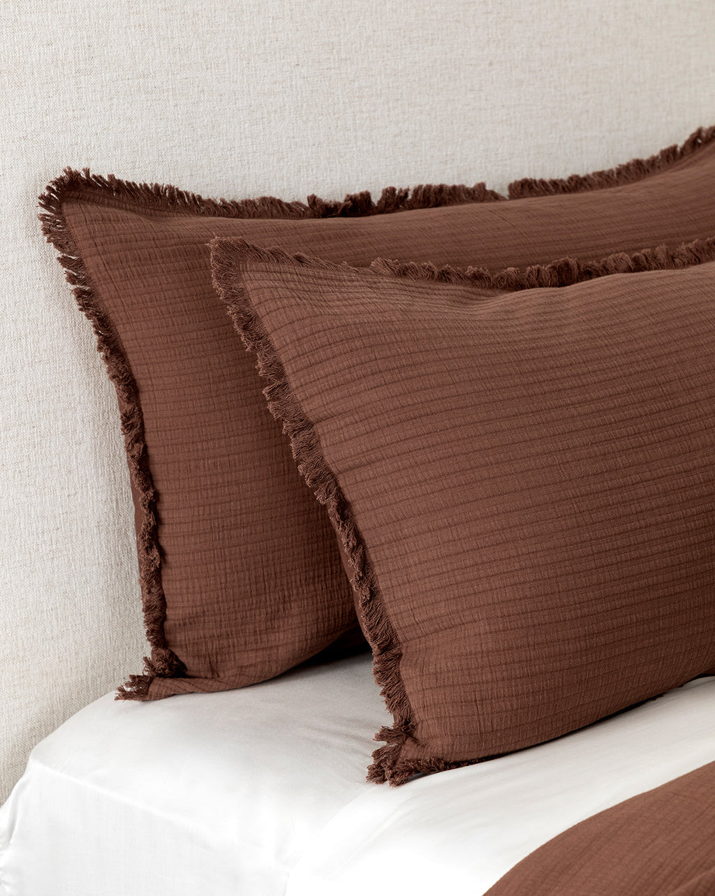 Hendricks Chocolate Cotton Shams (Set of 2)