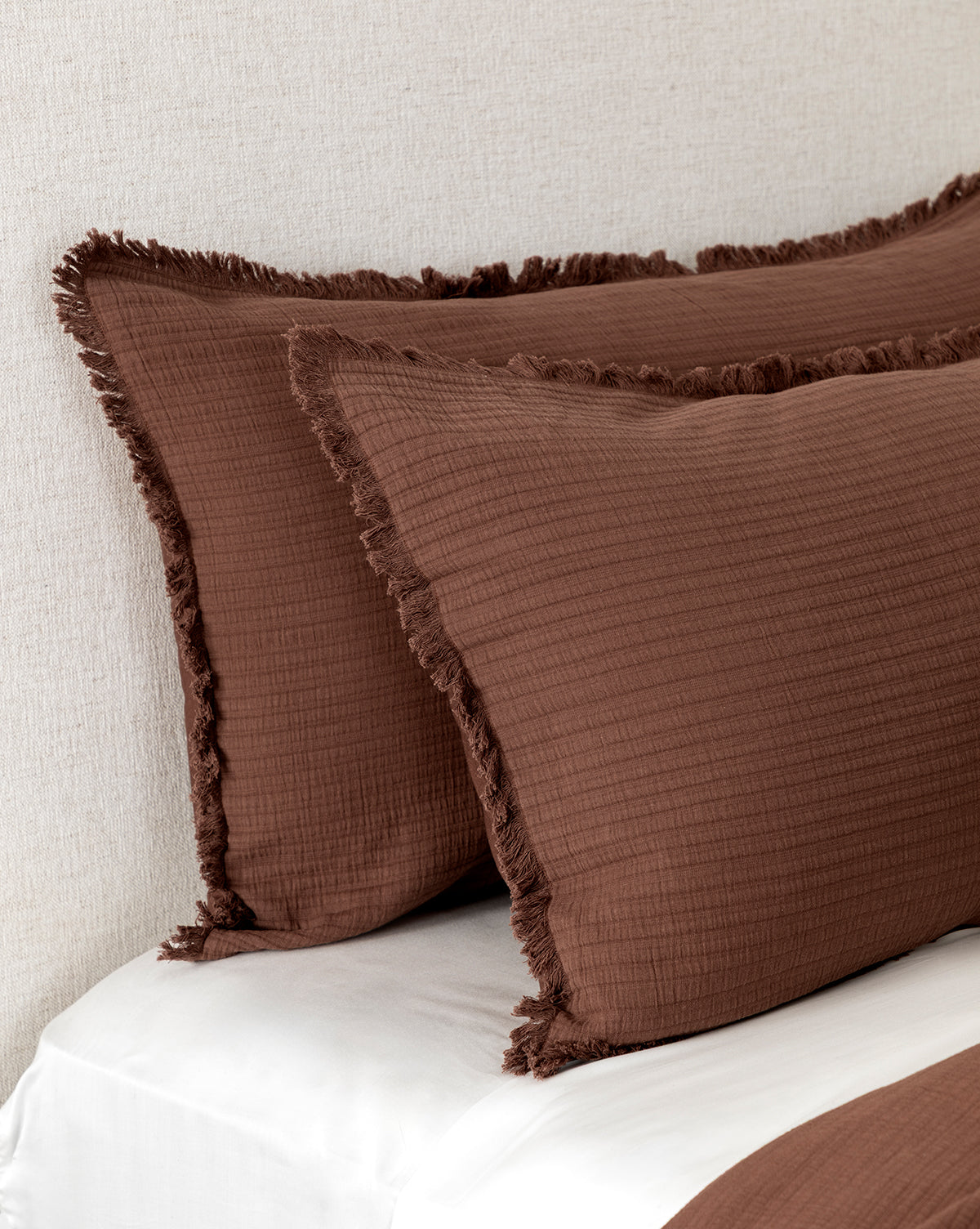Hendricks Chocolate Cotton Shams (Set of 2)